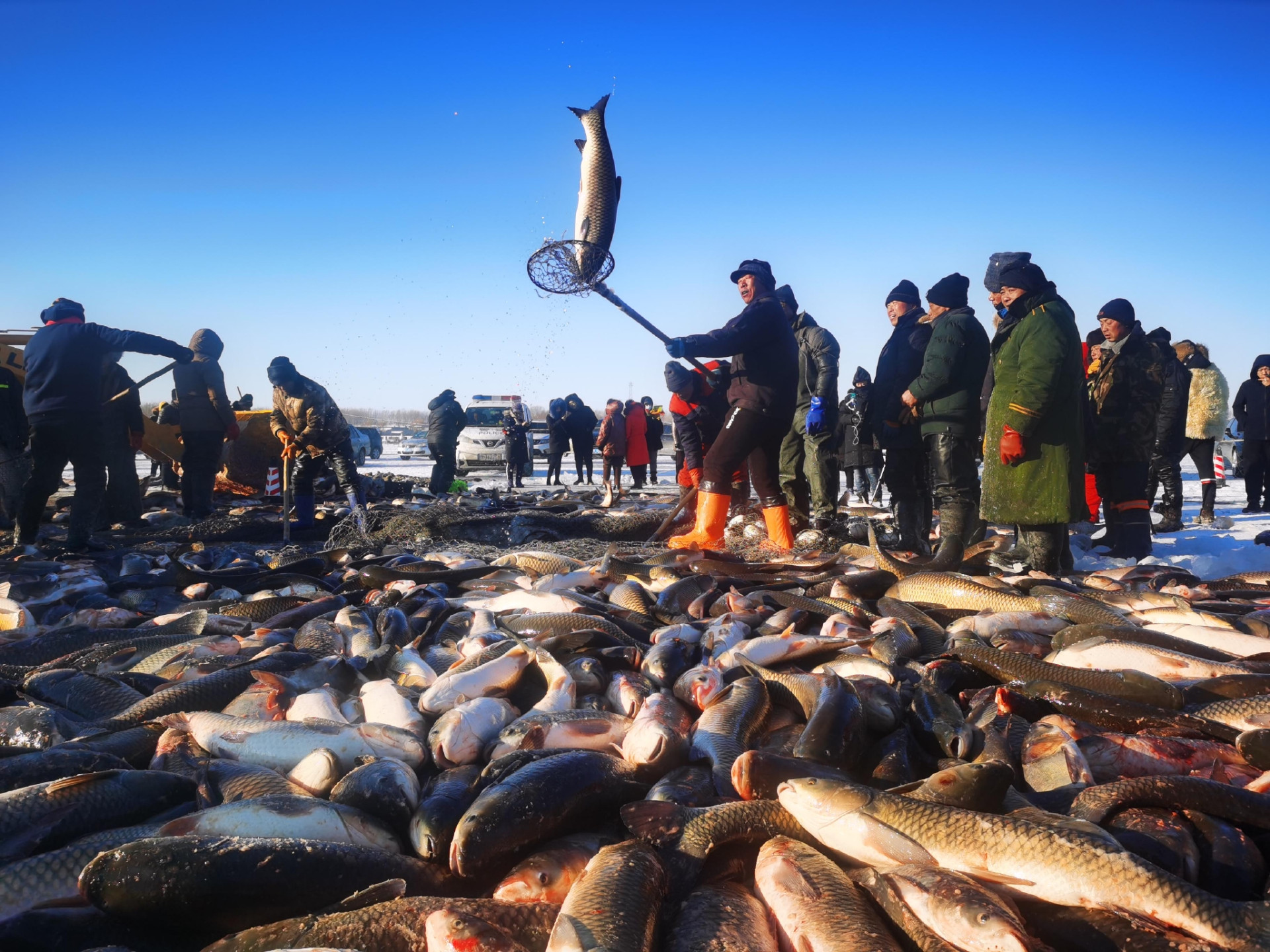 北京潤(rùn)達(dá)T-100S高速塑封機(jī)助力查干湖冬捕冷鏈包裝工廠實(shí)錄！